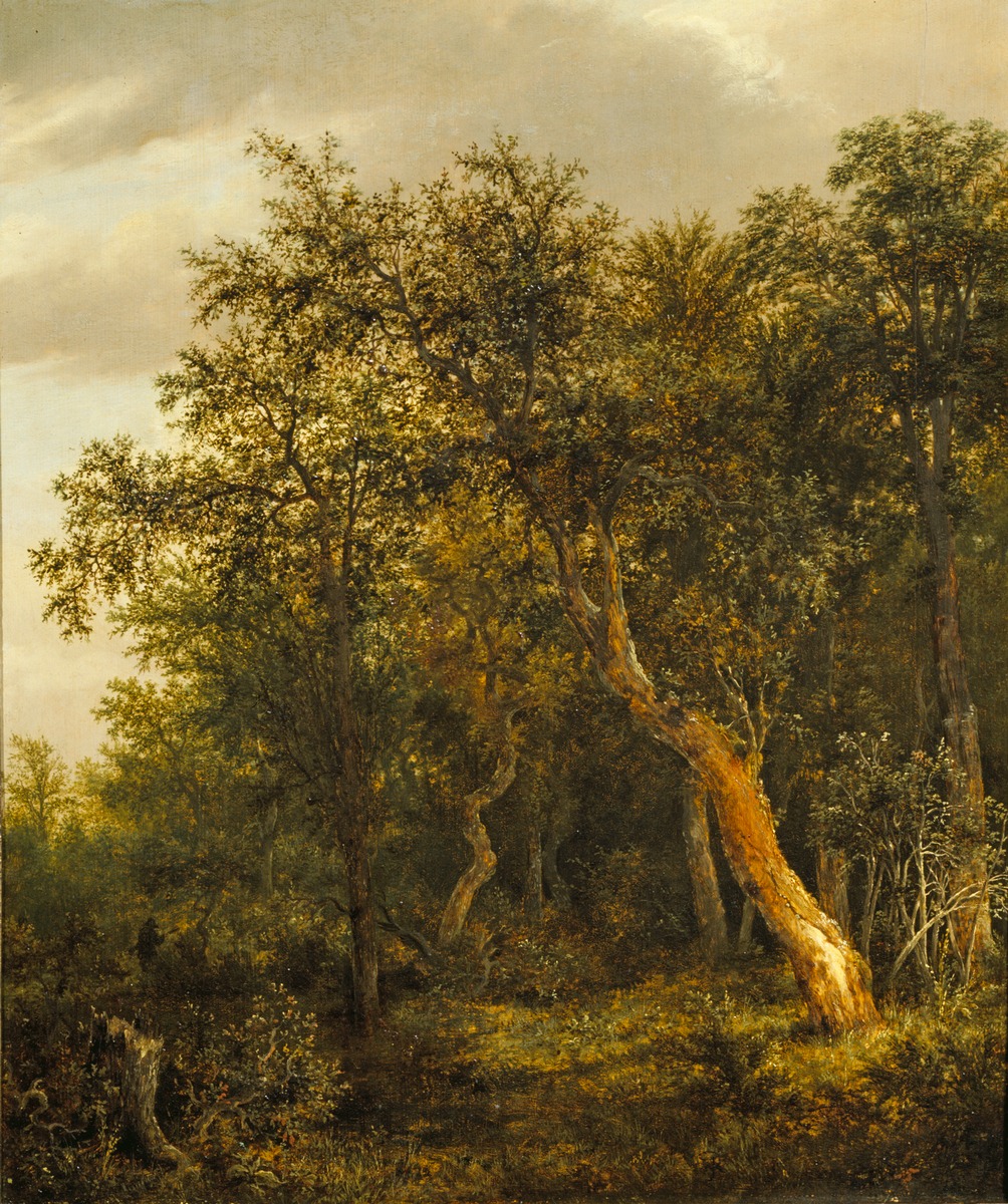 Gemäldegalerie der Akademie der bildenden Künste Wien